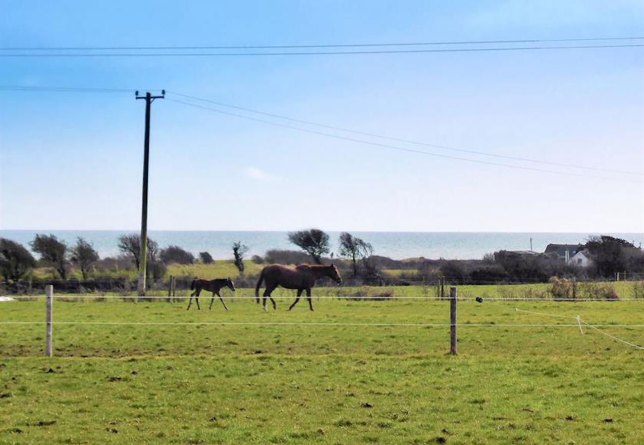 Hook Holiday Cottage, Mill Road Farm, a pet-friendly holiday cottage available beside the picturesque village of Kilmore Quay in County Wexford