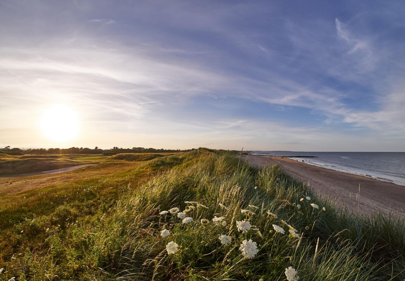 Rosslare Strand a  long sandy beach in Rosslare County Wexford