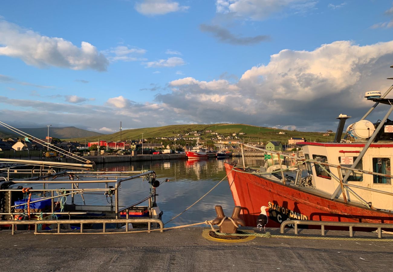 Dingle Harbour Dingle County Kerry Ireland