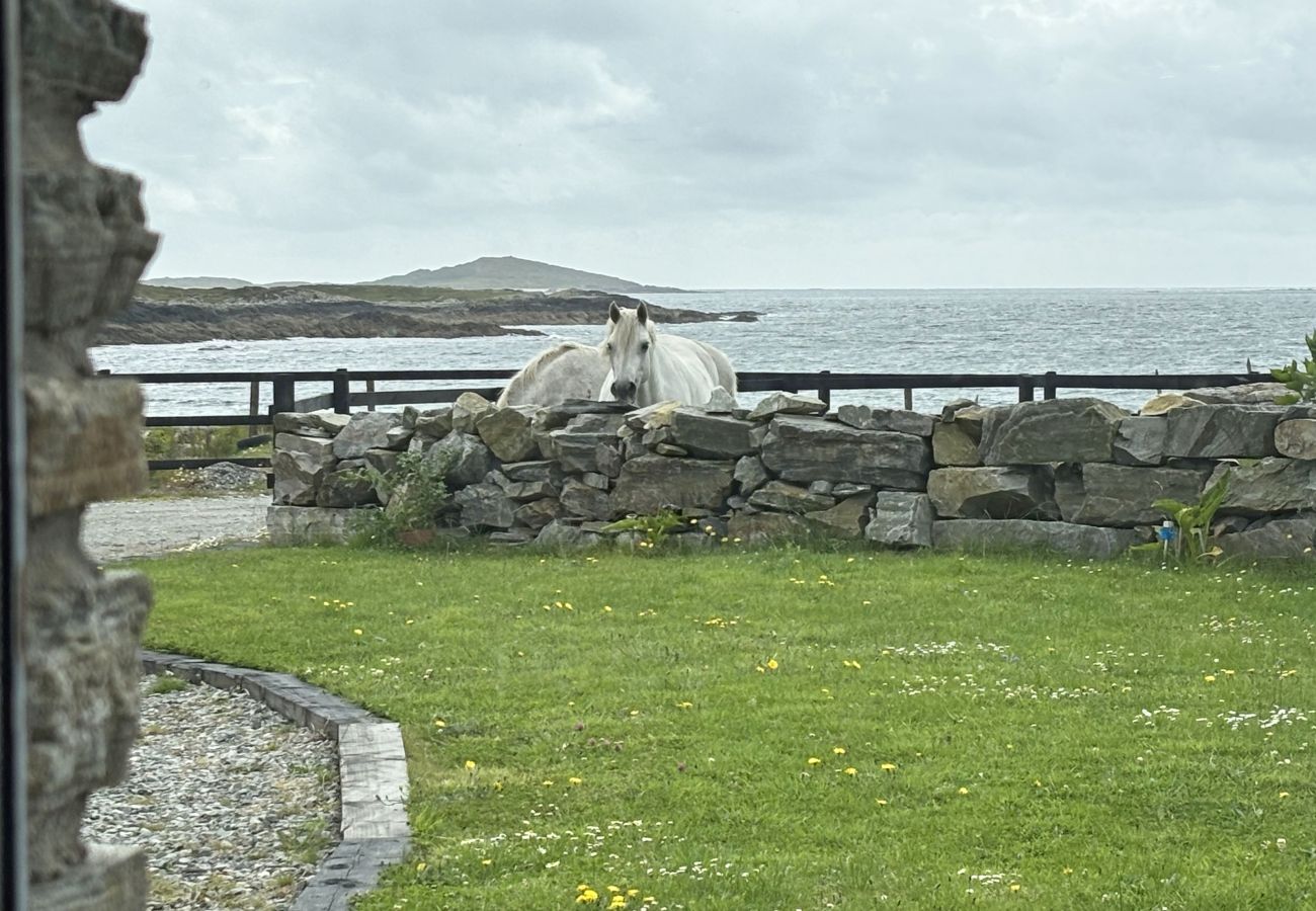 Clifden Holiday Apartment. Rugged landscape, sea views, wild atlantic way. Coastal walks. horses.