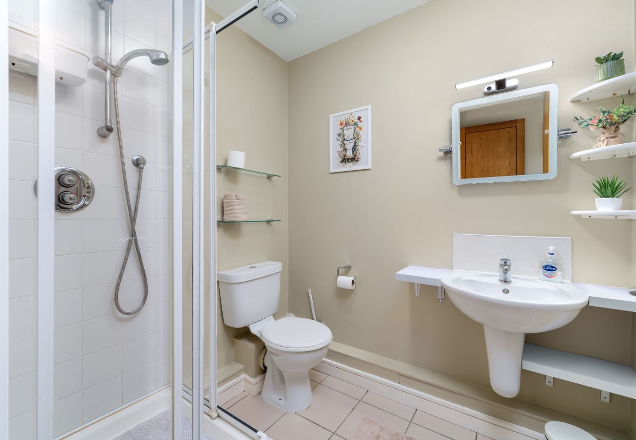 Clifden Town Apartment. Shower, WC and sink. Modern, clean, spacious.