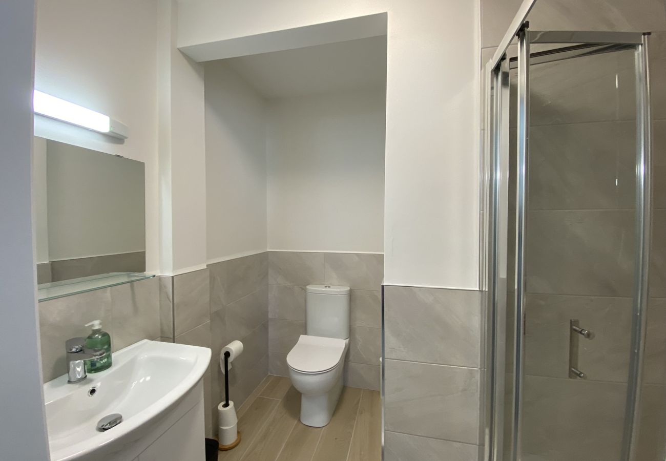 Clifden Town Holiday Apartment.  Bathroom Modern, shower, sink WC tiled contemporary design.