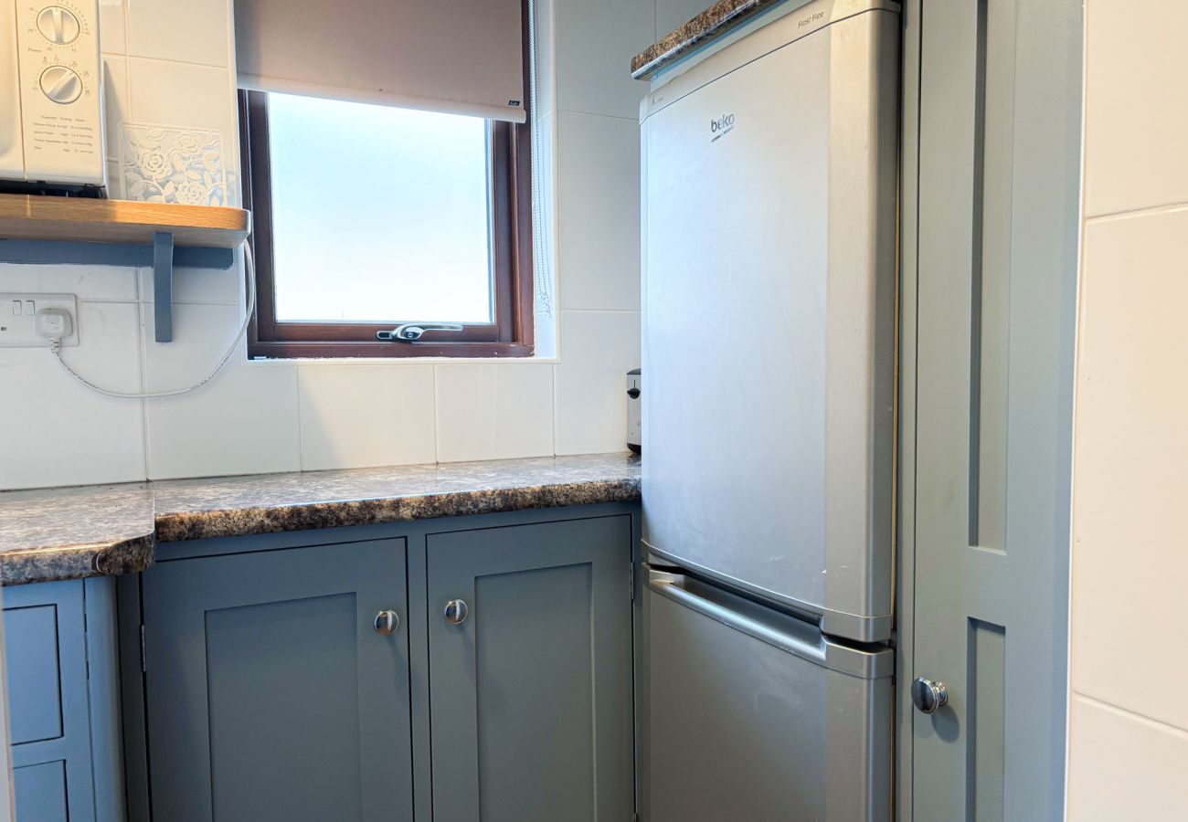 Kylemore Woodland Holiday Cottage. kitchen with large fridge