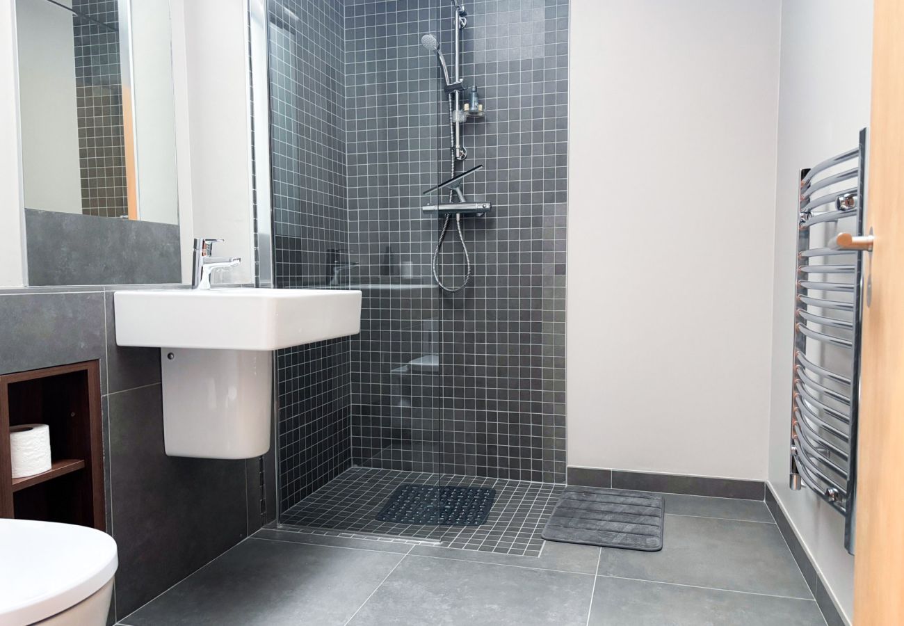 Kylemore Gate Lodge. En suite modern wet area shower, sink and toilet. 